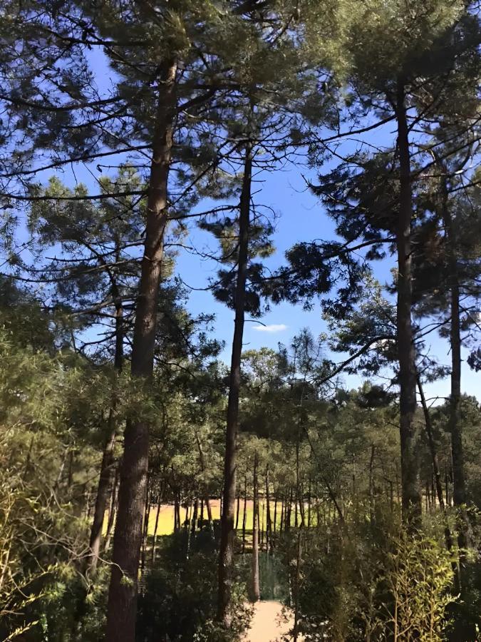 Un Nid Dans La Pinede Vila Lacanau Exterior foto